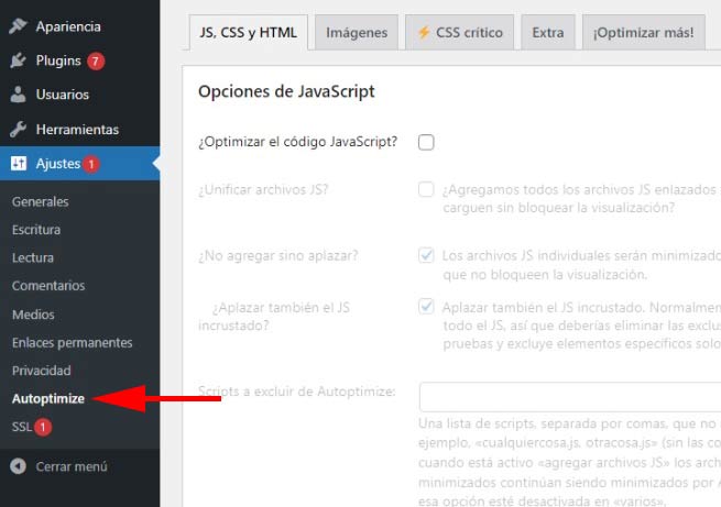 autoptimize-wordpress-opciones