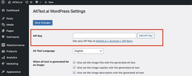 Wordpress Api Key Qué es una API Key de WordPress 【Guía completa】